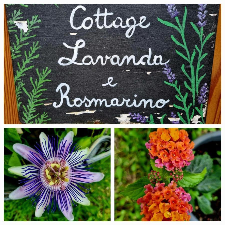 Cottage Lavanda E Rosmarino Lavis Exterior photo
