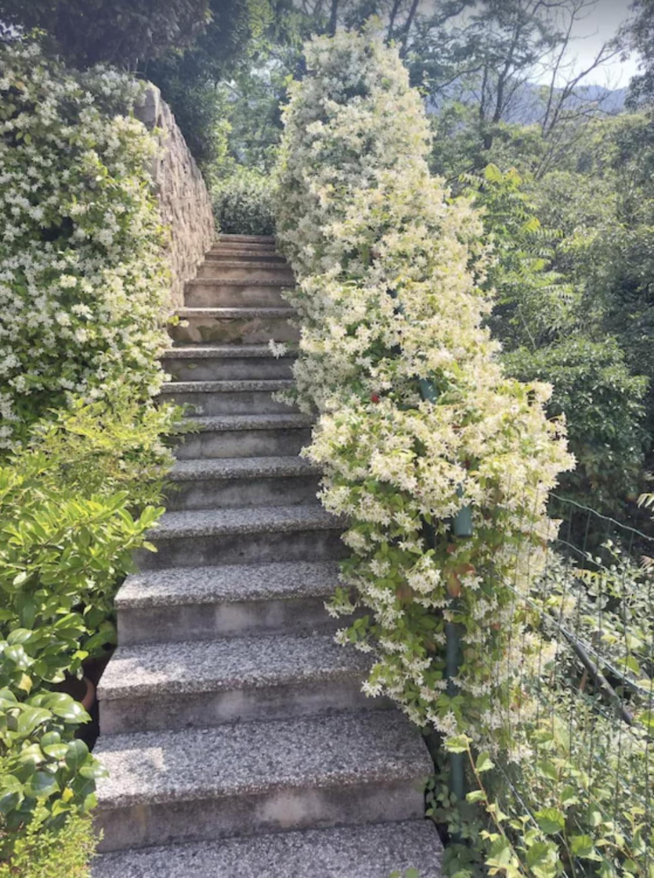 Cottage Lavanda E Rosmarino Lavis Exterior photo