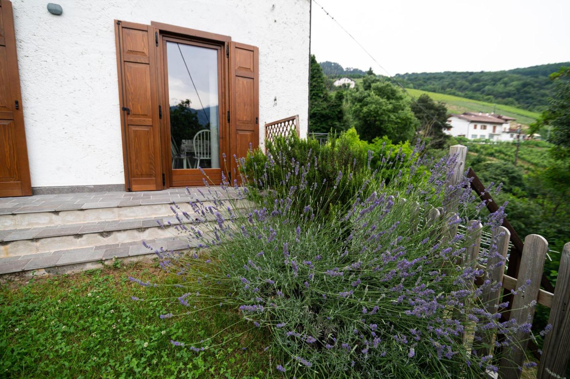 Cottage Lavanda E Rosmarino Lavis Exterior photo